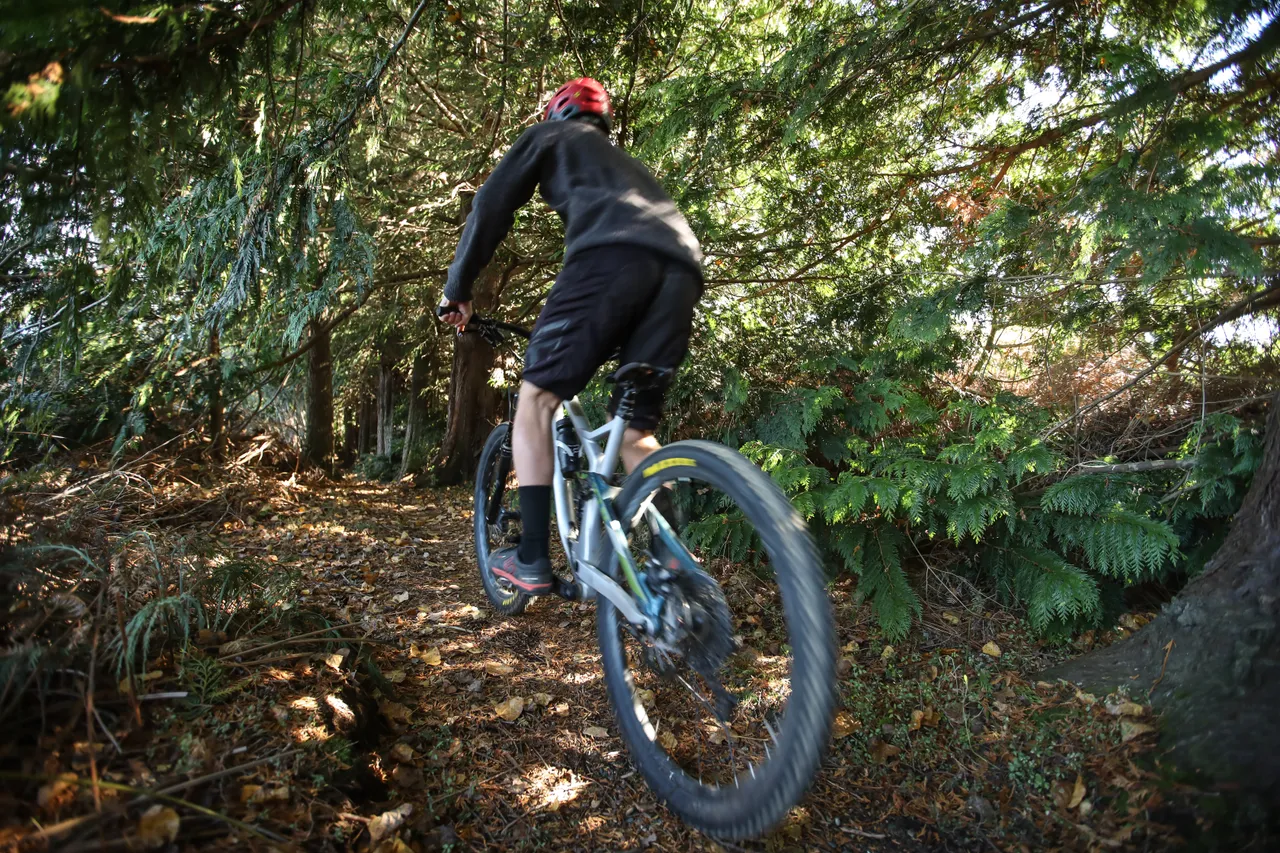 Perenuka Mountain Bike Park - Southland, New Zealand - Credit Great South (26)