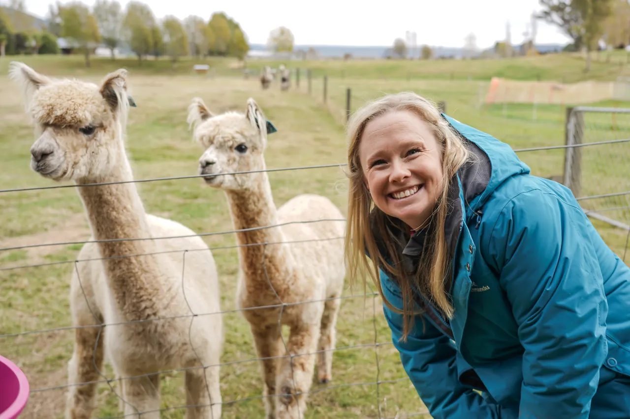 Kepler Mountain View Alpacas & Wild Wool Gallery - Southland New Zealand - Credit Great South (22)
