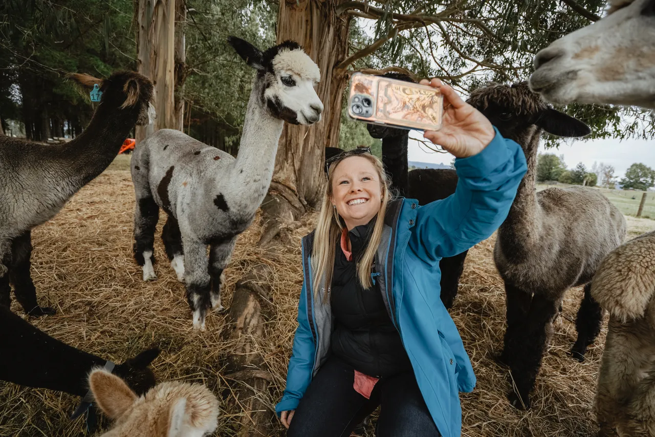 Kepler Mountain View Alpacas & Wild Wool Gallery - Southland New Zealand - Credit Great South (18)