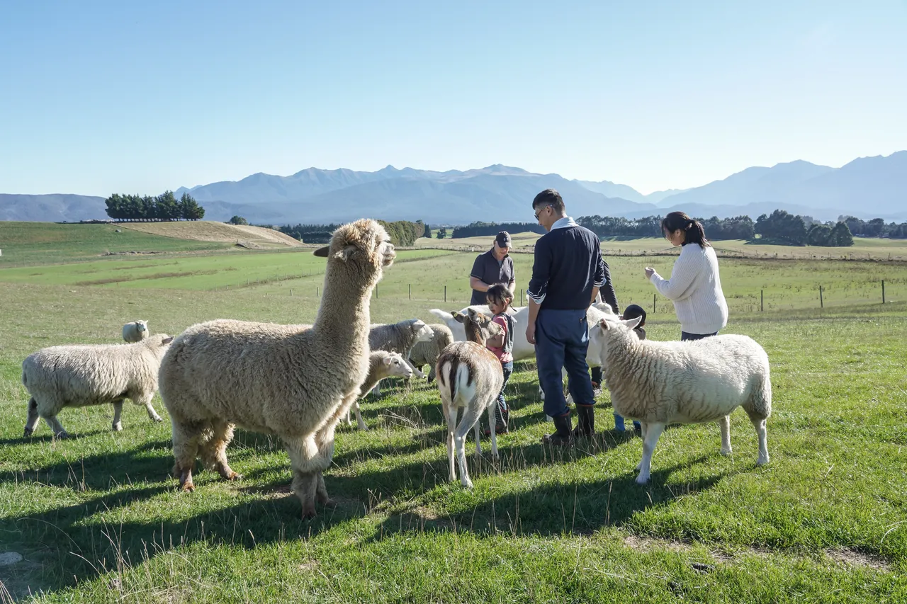 Dusky Ridges - Southland, New Zealand - Credit Great South (19)