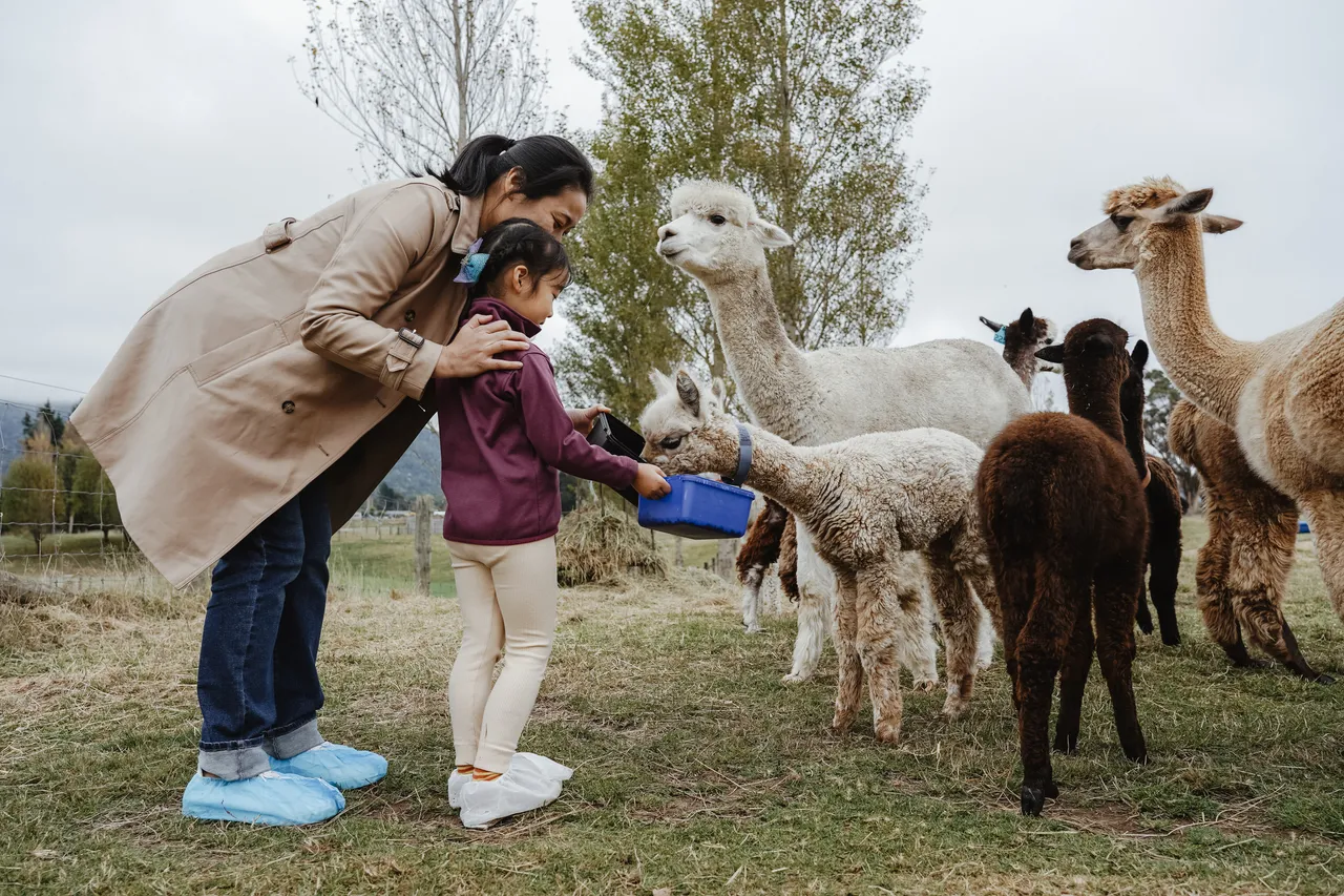 Kepler Mountain View Alpacas & Wild Wool Gallery - Southland New Zealand - Credit Great South (10)