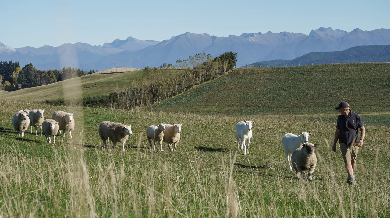 Dusky Ridges - Southland, New Zealand - Credit Great South (17)