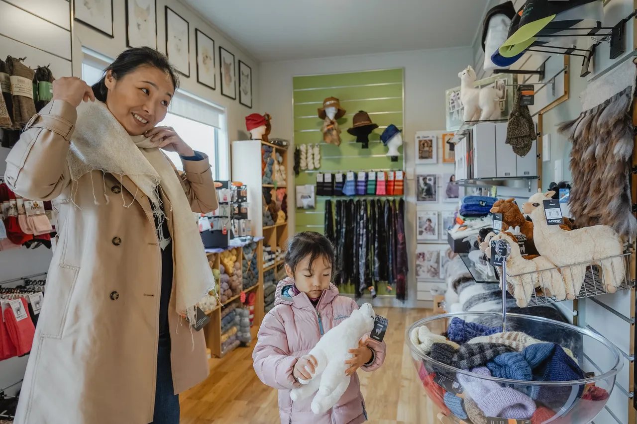Kepler Mountain View Alpacas & Wild Wool Gallery - Southland New Zealand - Credit Great South (3)