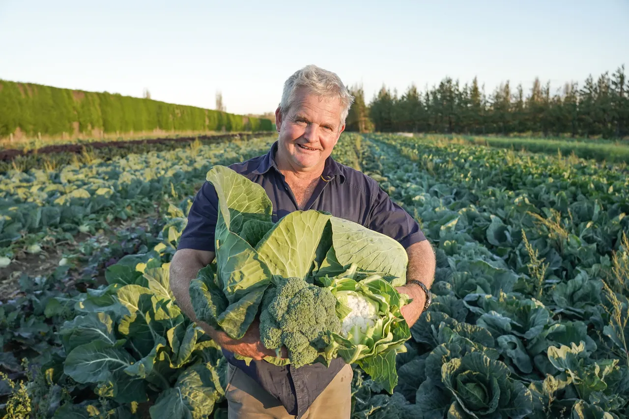 Wilsons Veges - Southland, New Zealand - Credit Great South (16)