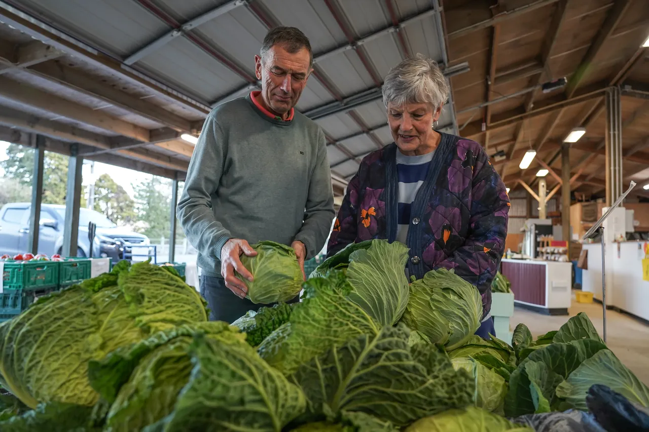Wilsons Veges - Southland, New Zealand - Credit Great South (3)