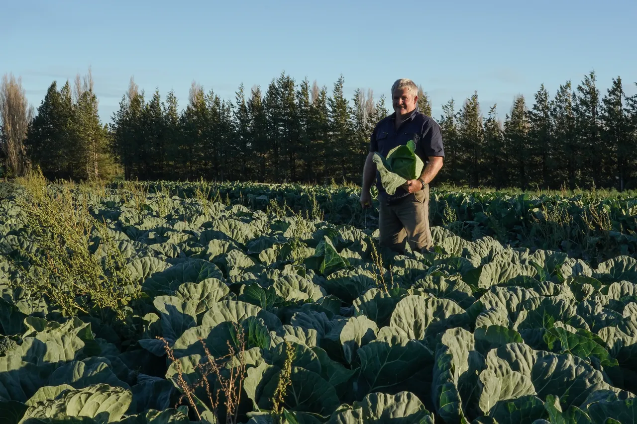 Wilsons Veges - Southland, New Zealand - Credit Great South (11)