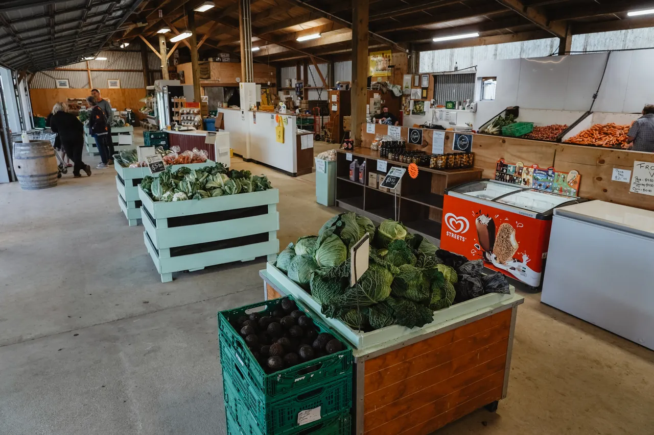Wilsons Veges - Southland, New Zealand - Credit Great South (7)