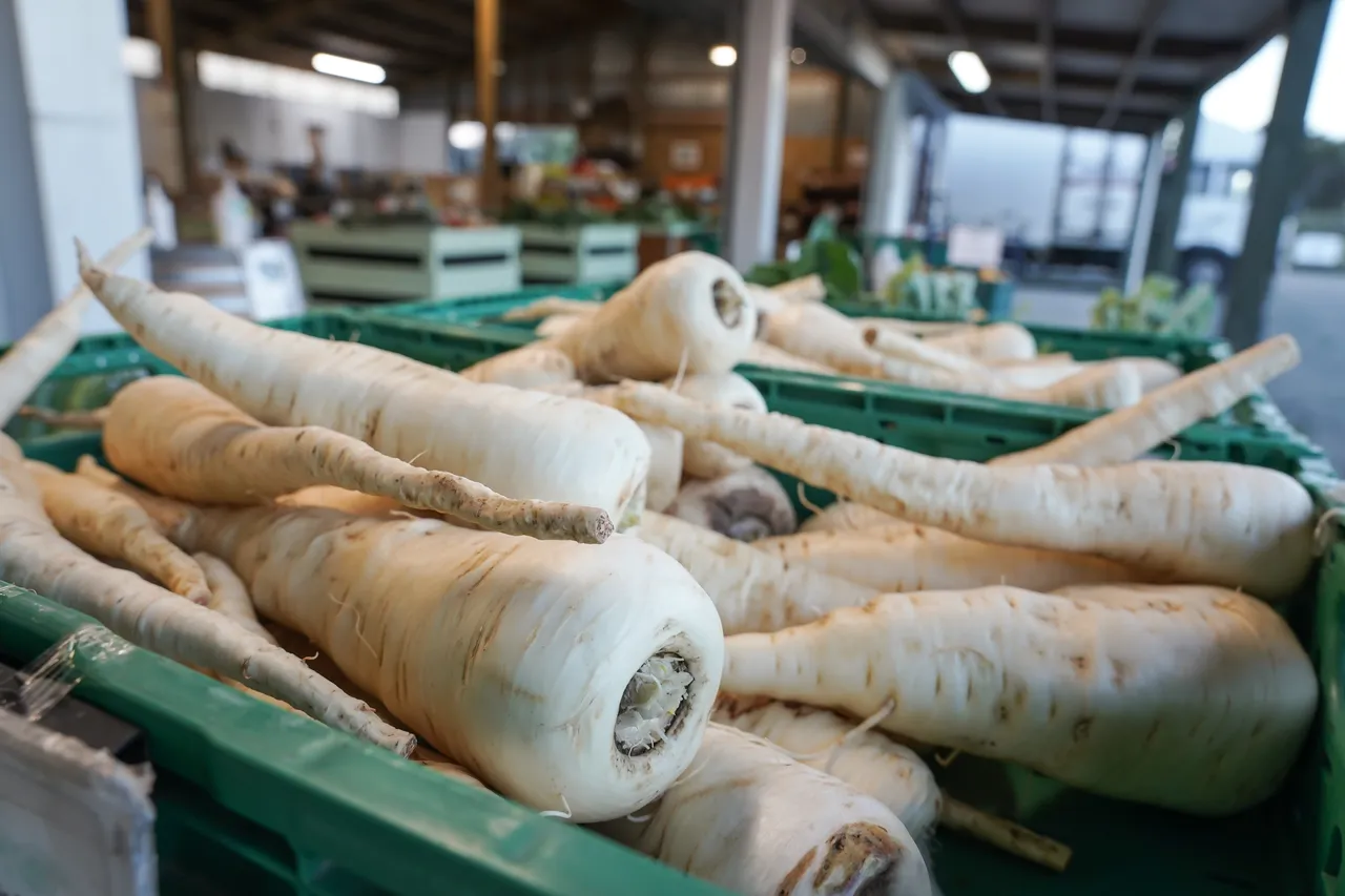Wilsons Veges - Southland, New Zealand - Credit Great South (6)