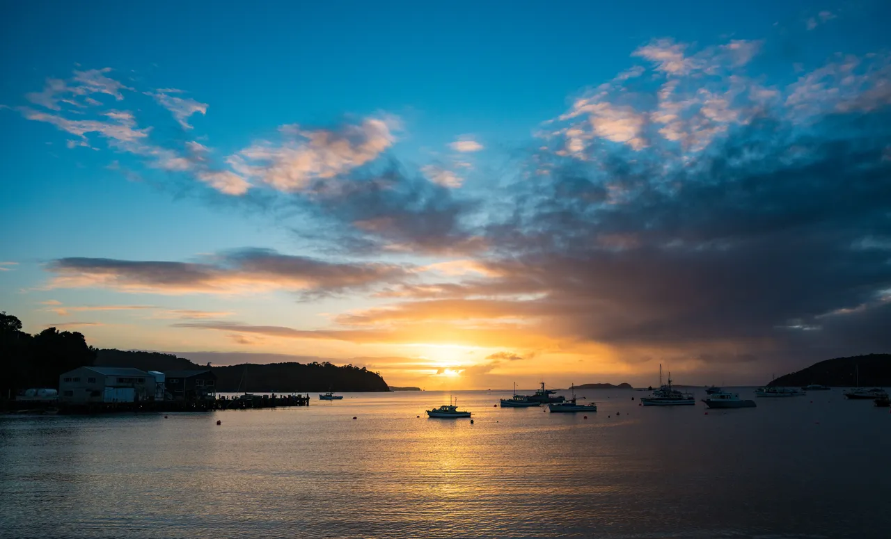 Halfmoon Bay - Southland, New Zealand - Credit Tourism New Zealand (2)