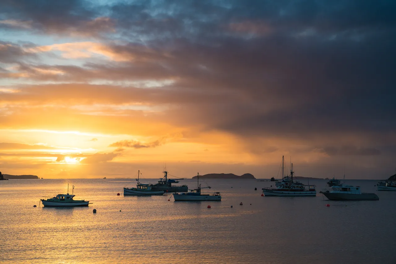 Halfmoon Bay - Southland, New Zealand - Credit Tourism New Zealand (1)