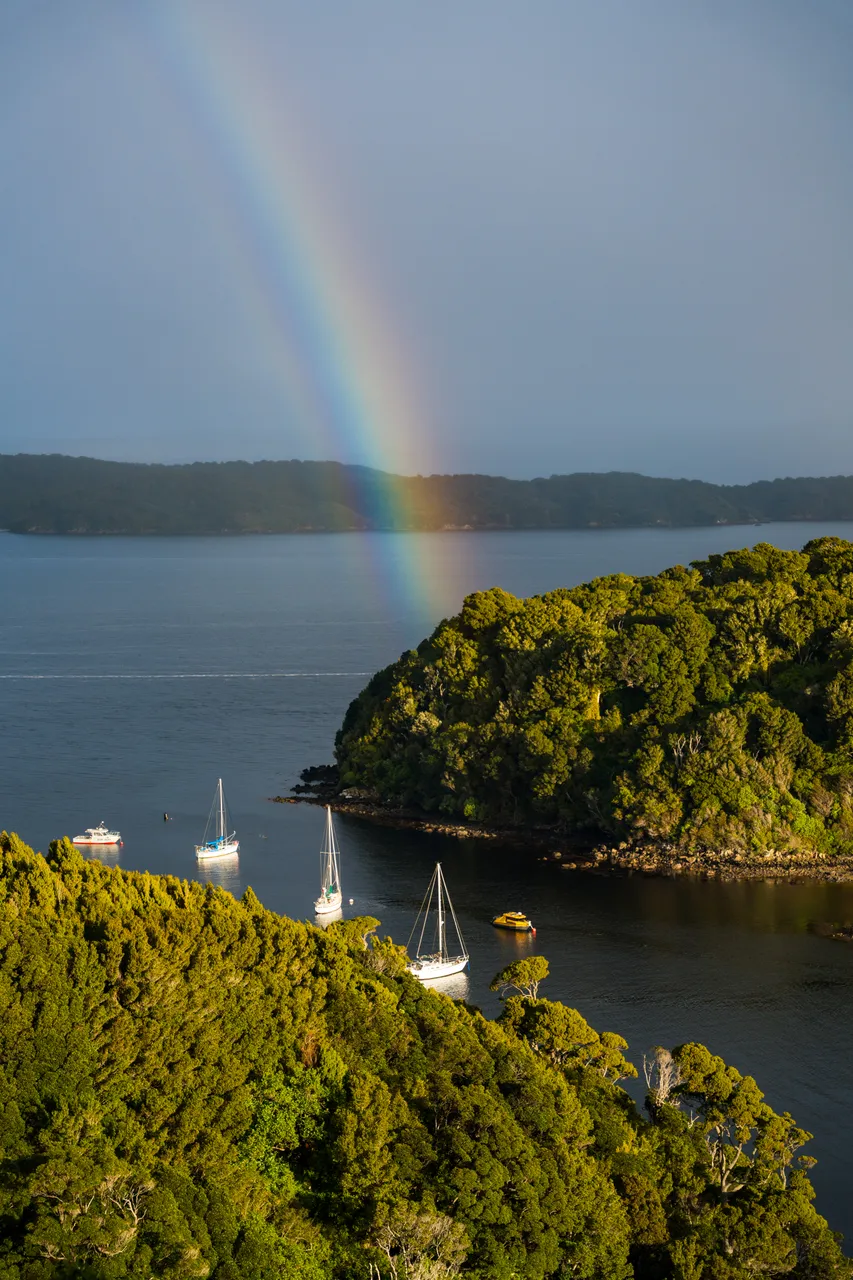Iona Island - Southland, New Zealand - Credit Tourism New Zealand (1)