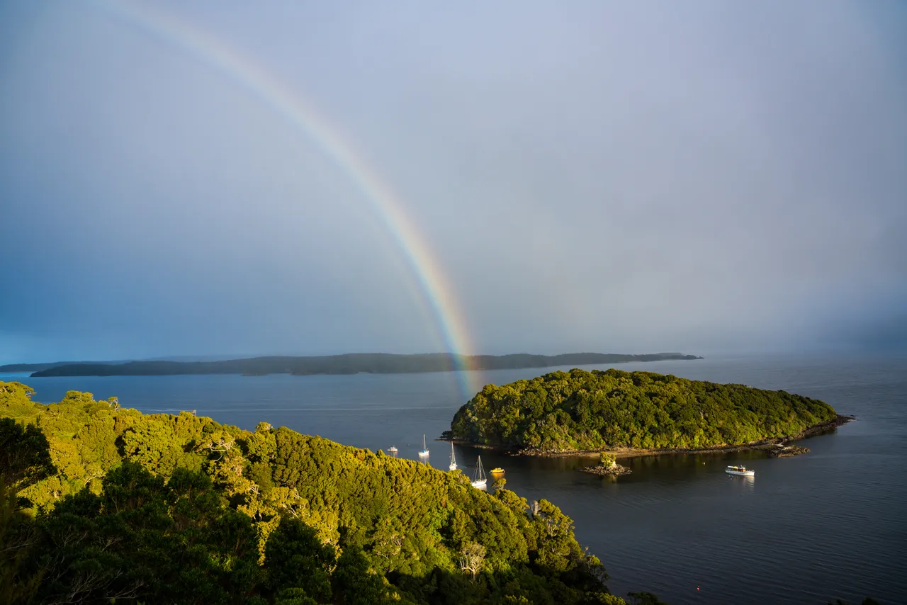 Iona Island - Southland, New Zealand - Credit Tourism New Zealand (2)
