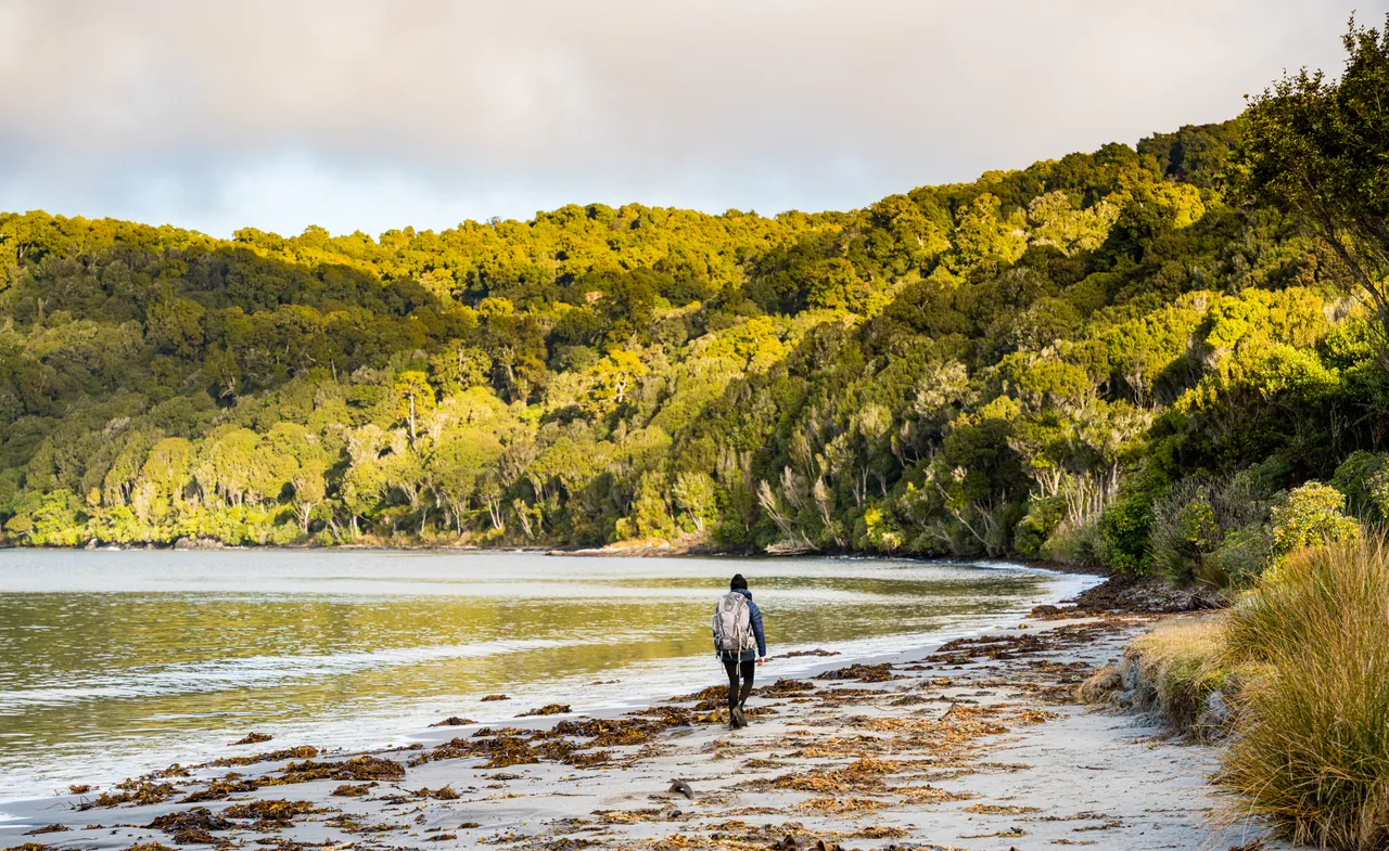 Rakiura Track - Southland, New Zealand - Credit Tourism New Zealand (5)