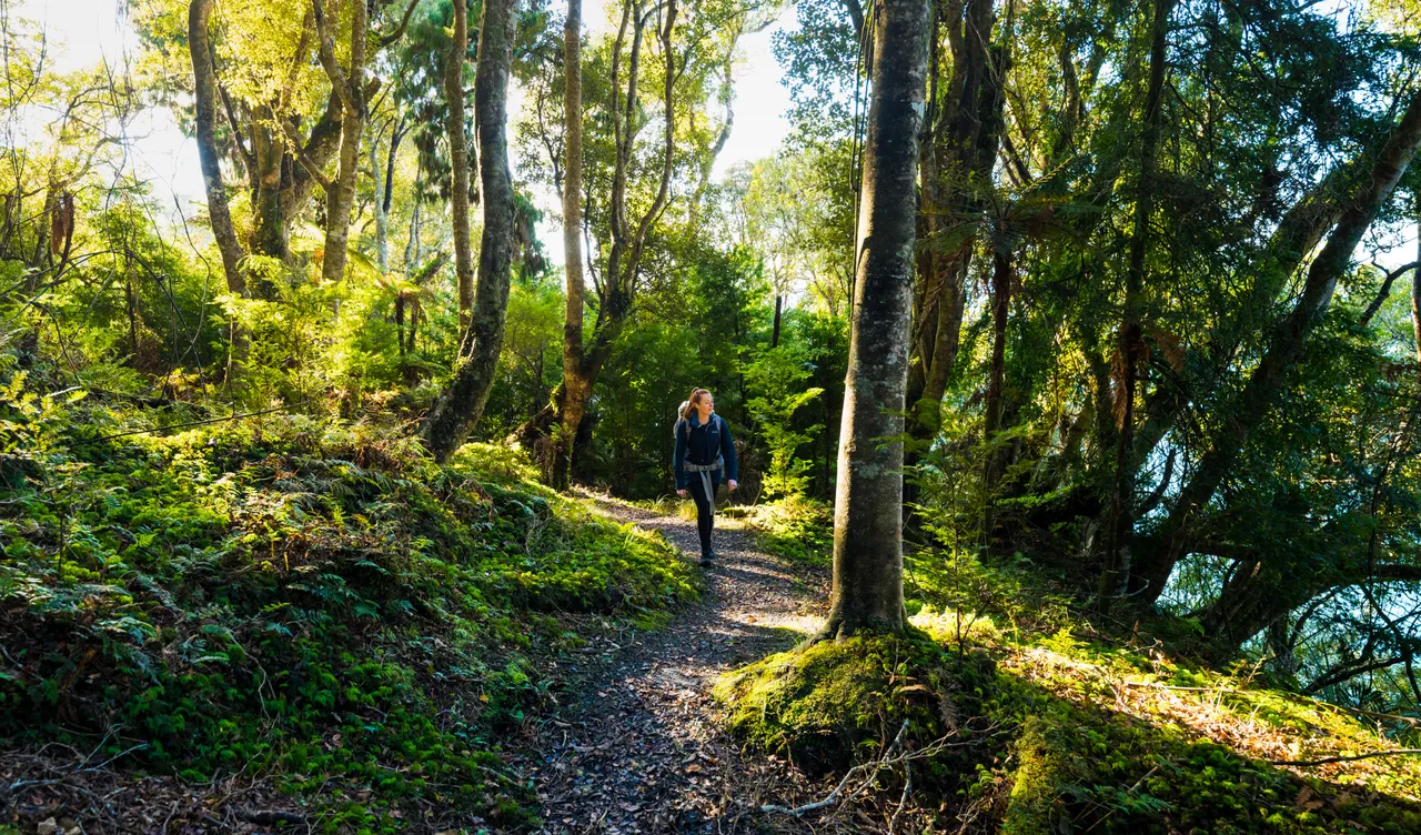 Golden Bay Track - Southland, New Zealand - Credit Tourism New Zealand (9)