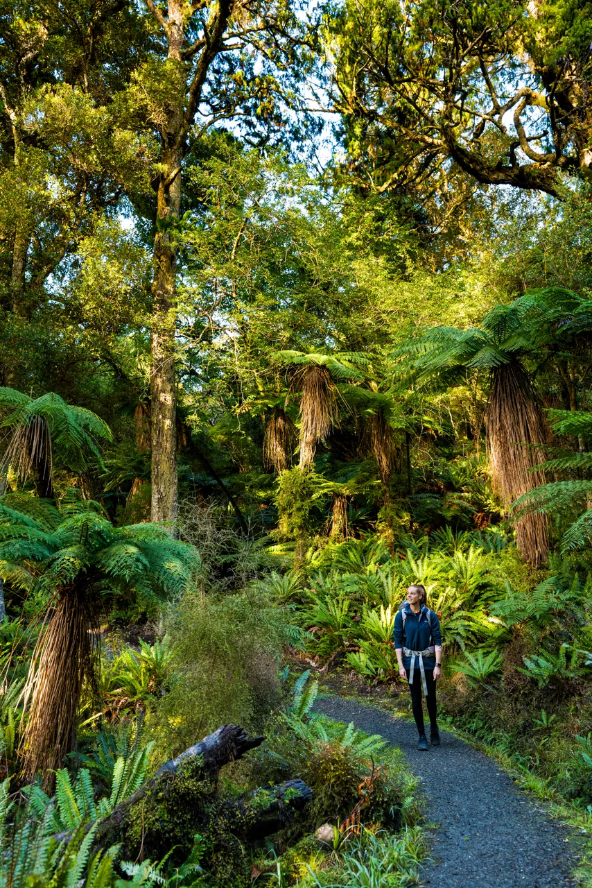 Golden Bay Track - Southland, New Zealand - Credit Tourism New Zealand (5)