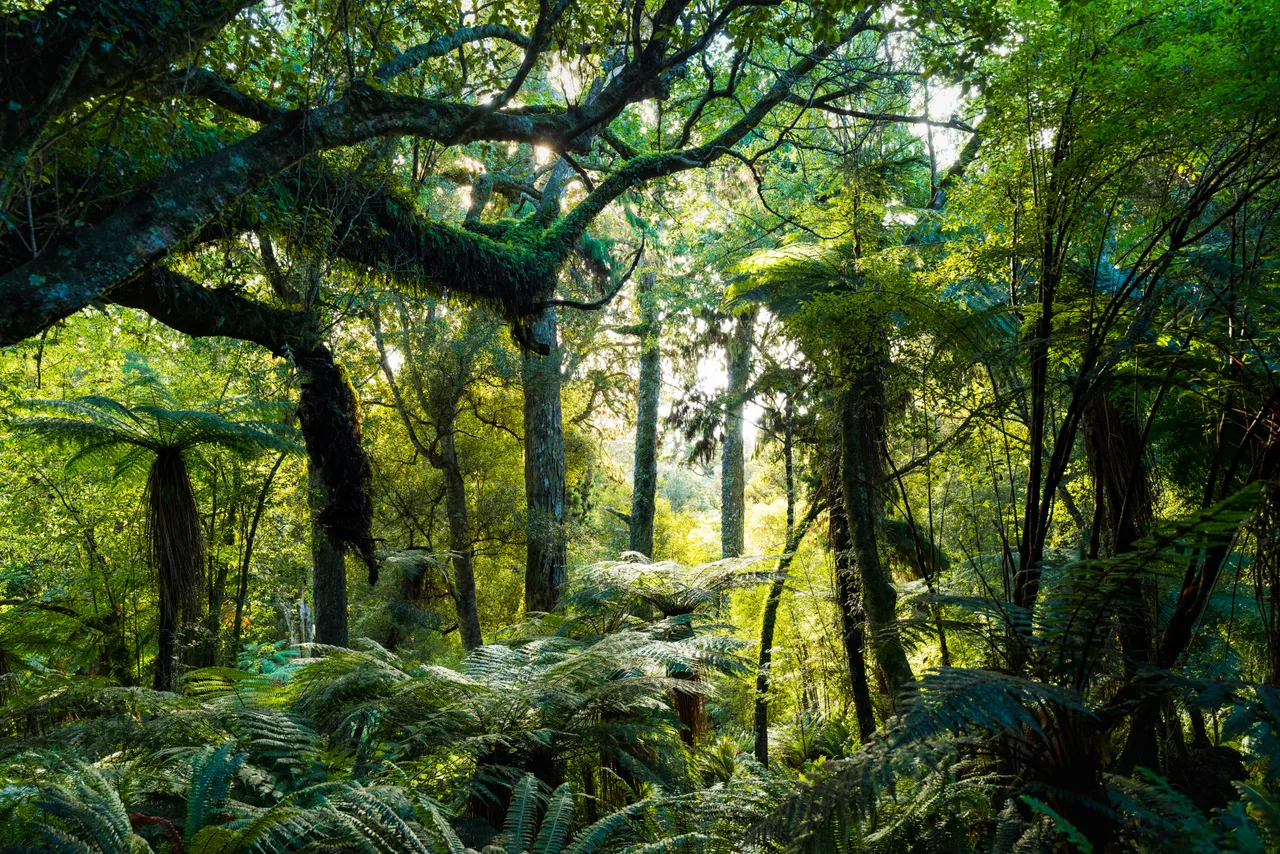 Golden Bay Track - Southland, New Zealand - Credit Tourism New Zealand (6)