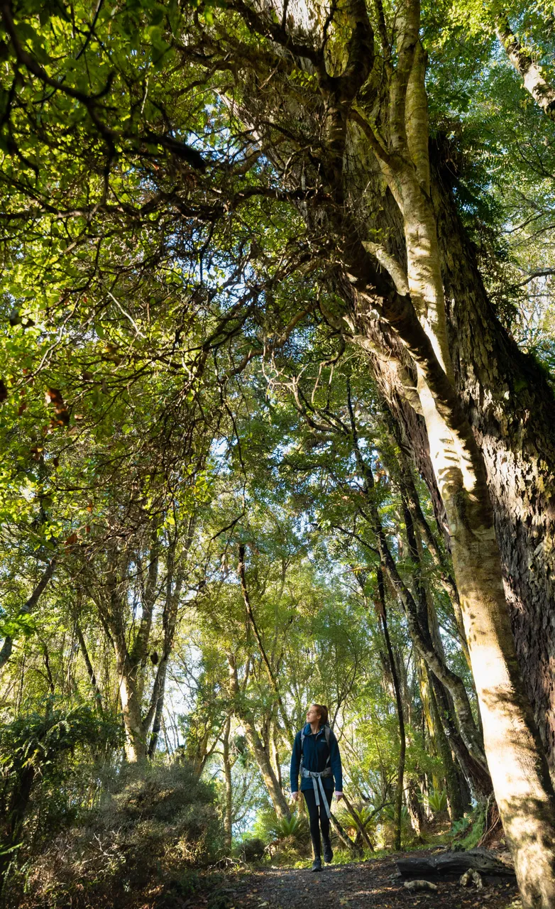 Golden Bay Track - Southland, New Zealand - Credit Tourism New Zealand (8)
