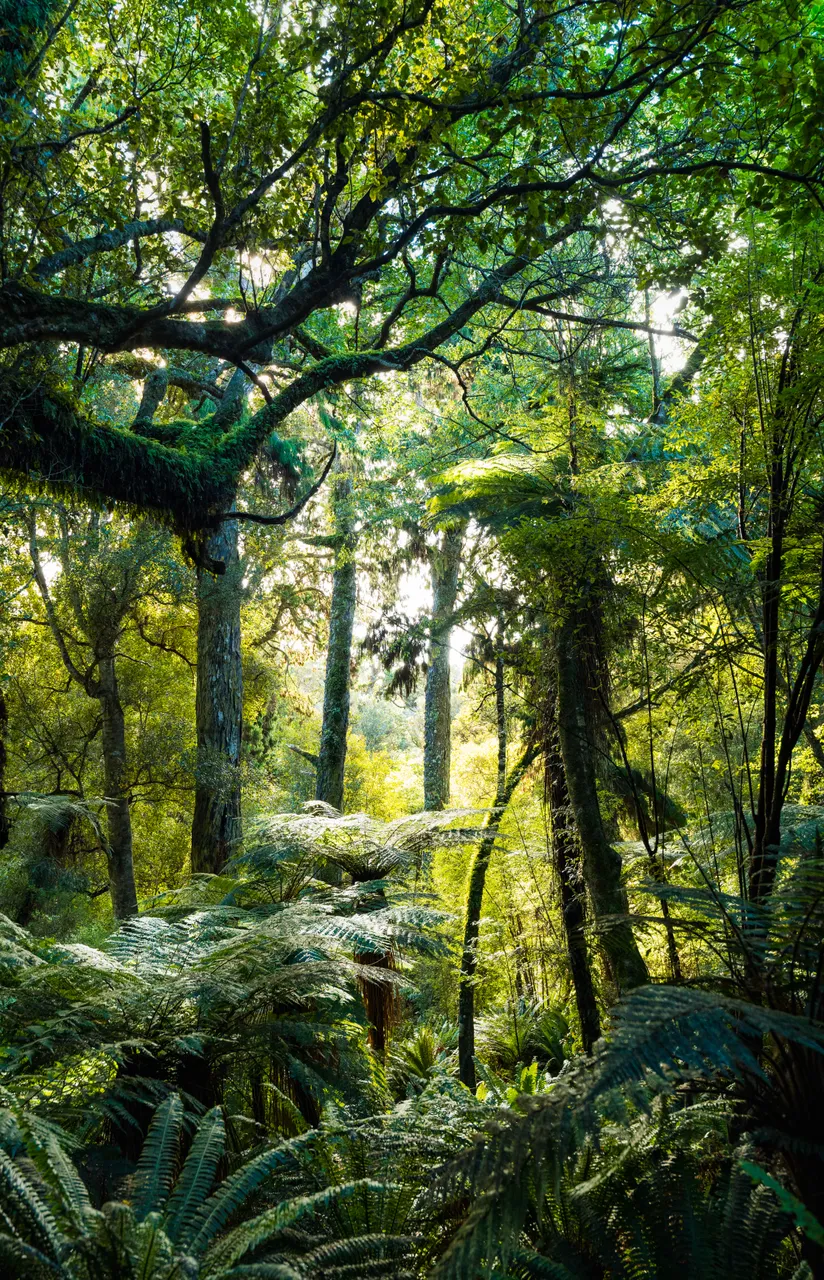 Golden Bay Track - Southland, New Zealand - Credit Tourism New Zealand (7)