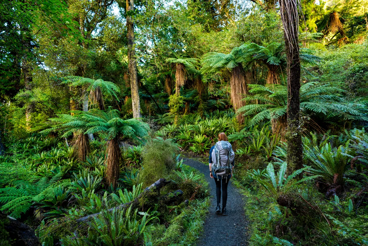 Golden Bay Track - Southland, New Zealand - Credit Tourism New Zealand (2)