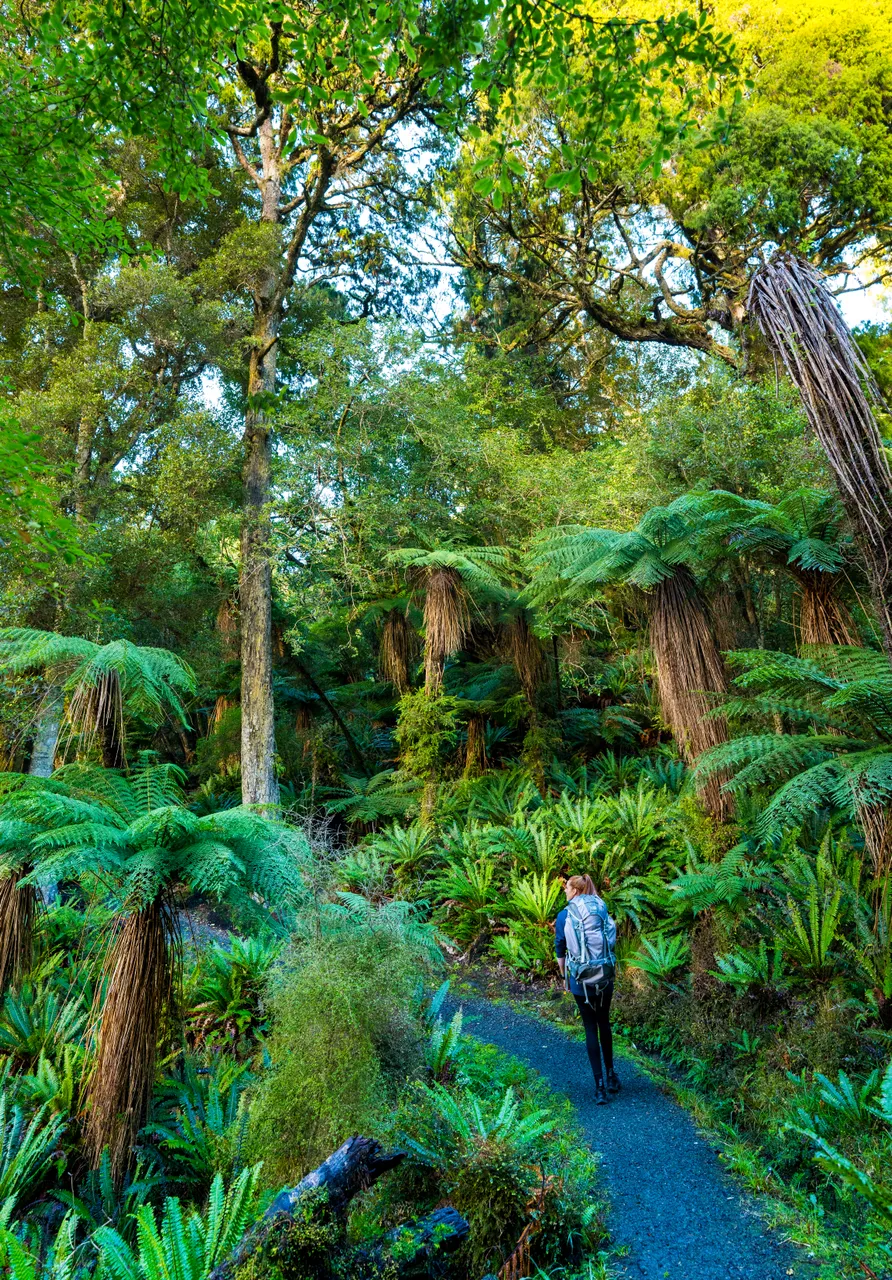 Golden Bay Track - Southland, New Zealand - Credit Tourism New Zealand (3)