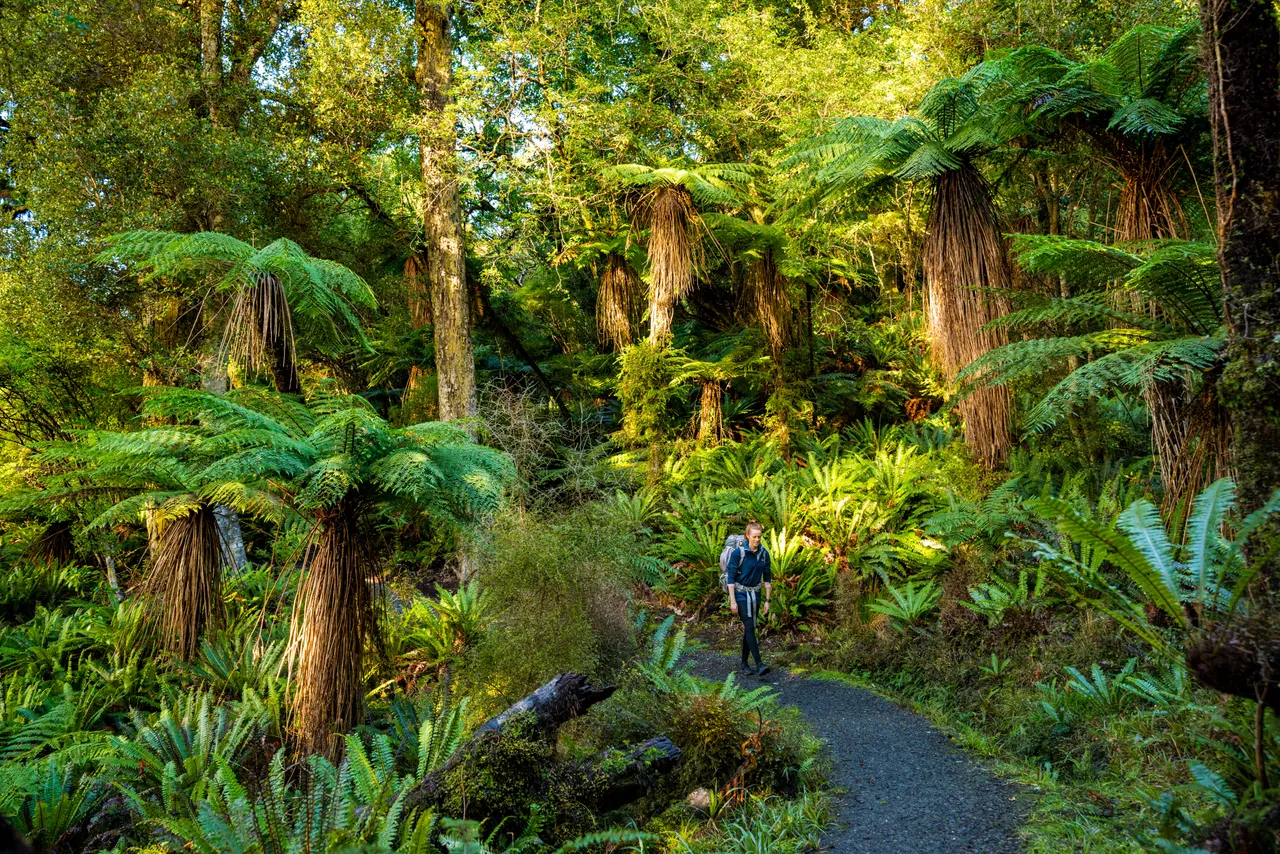 Golden Bay Track - Southland, New Zealand - Credit Tourism New Zealand (4)