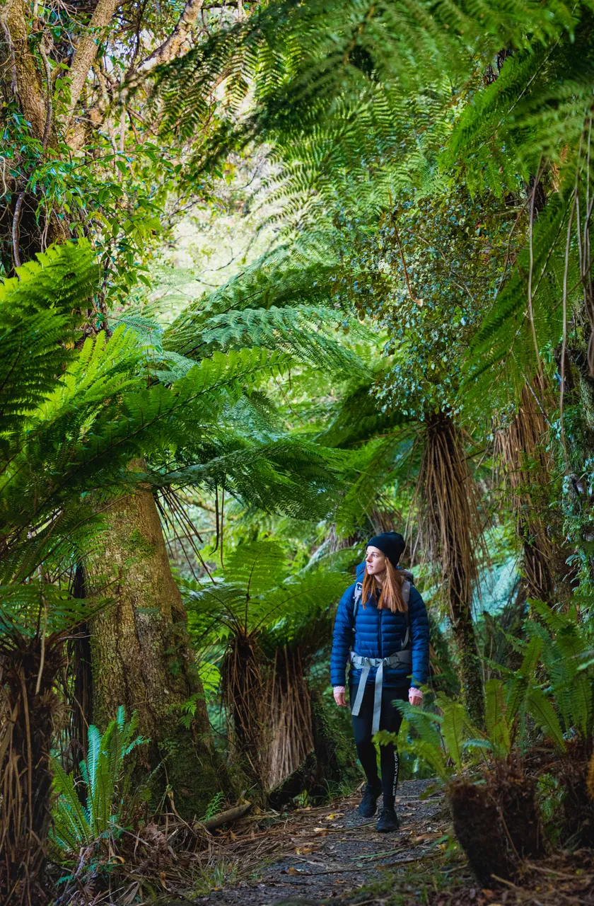 Golden Bay Track - Southland, New Zealand - Credit Tourism New Zealand (1)