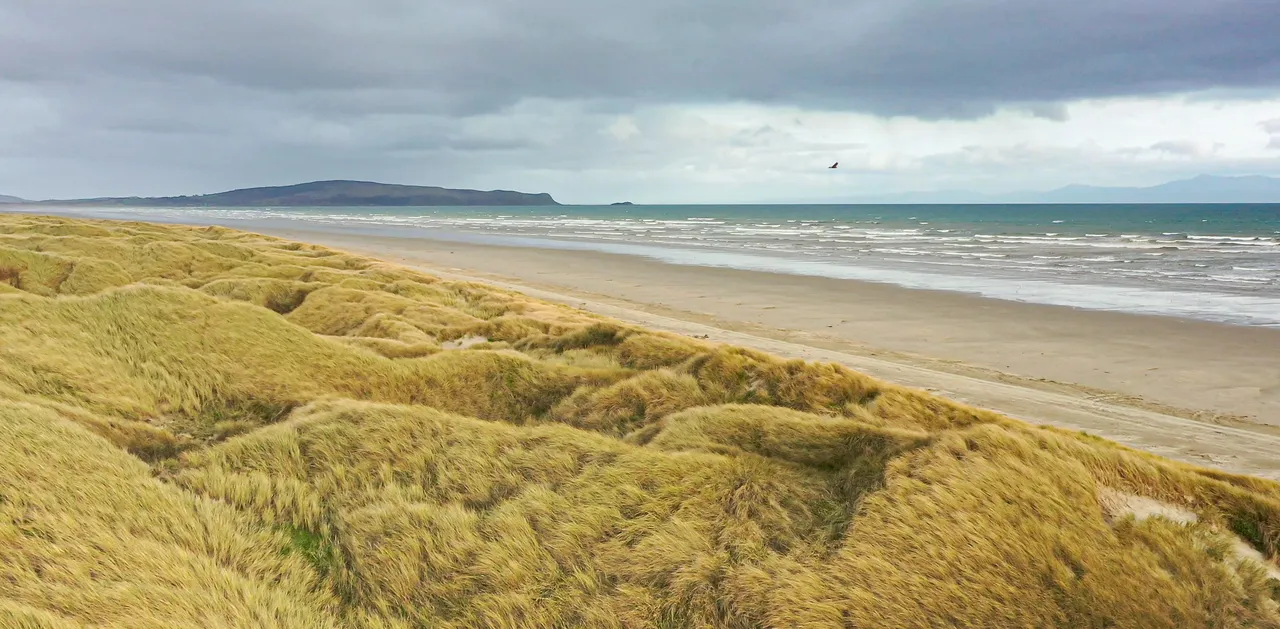 Oreti Beach - Southland, New Zealand - Credit Tourism New Zealand (1)