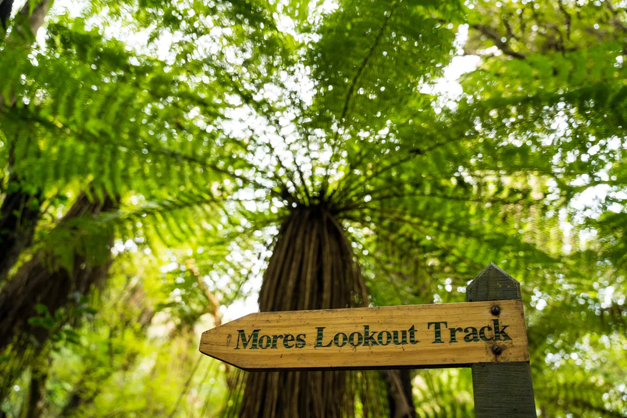 Mores Scenic Reserve - Southland, New Zealand - Credit Tourism New Zealand (10)