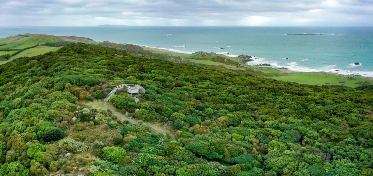 Mores Scenic Reserve - Southland, New Zealand - Credit Tourism New Zealand (11)