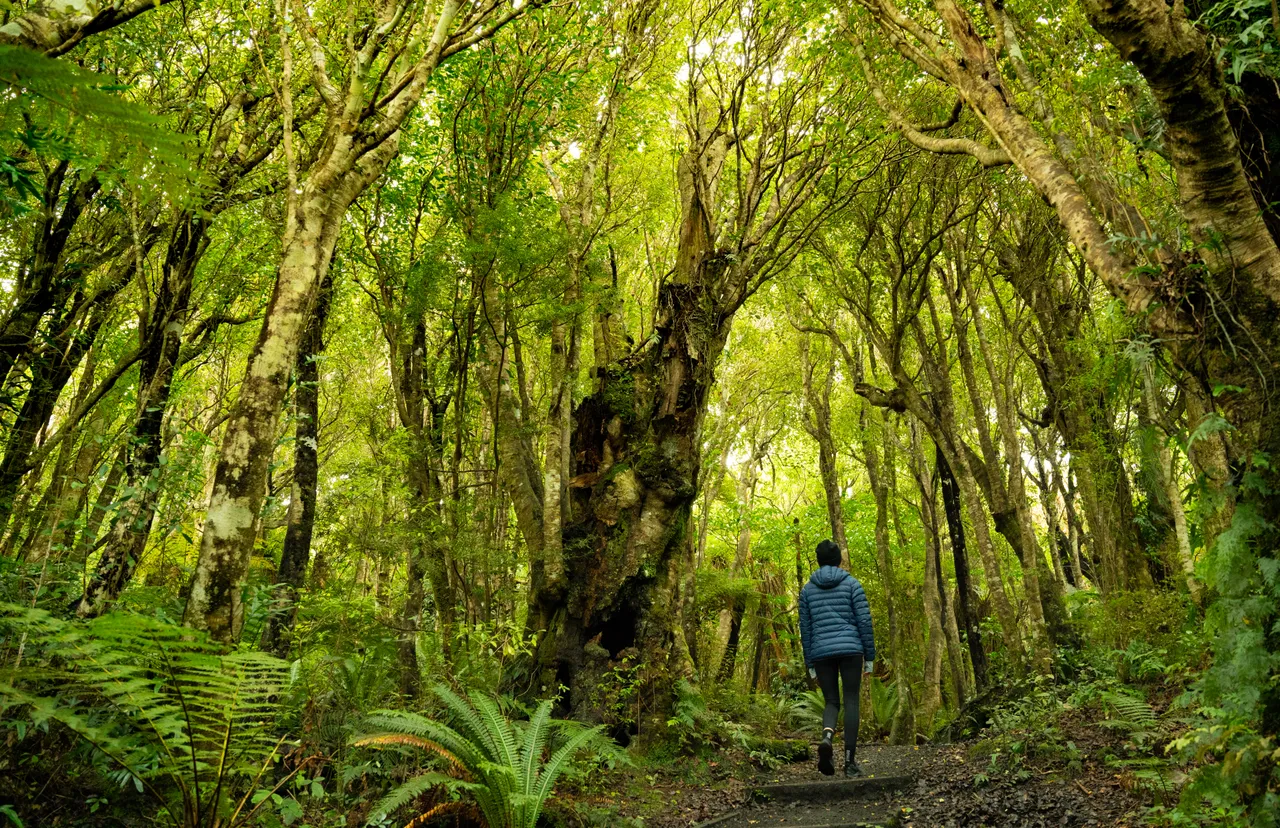 Mores Scenic Reserve - Southland, New Zealand - Credit Tourism New Zealand (5)