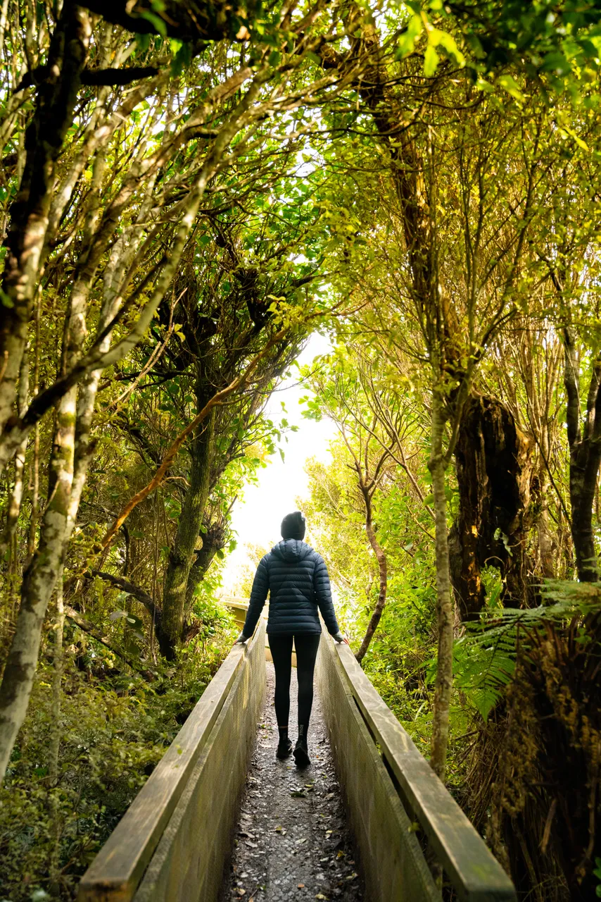 Mores Scenic Reserve - Southland, New Zealand - Credit Tourism New Zealand (7)