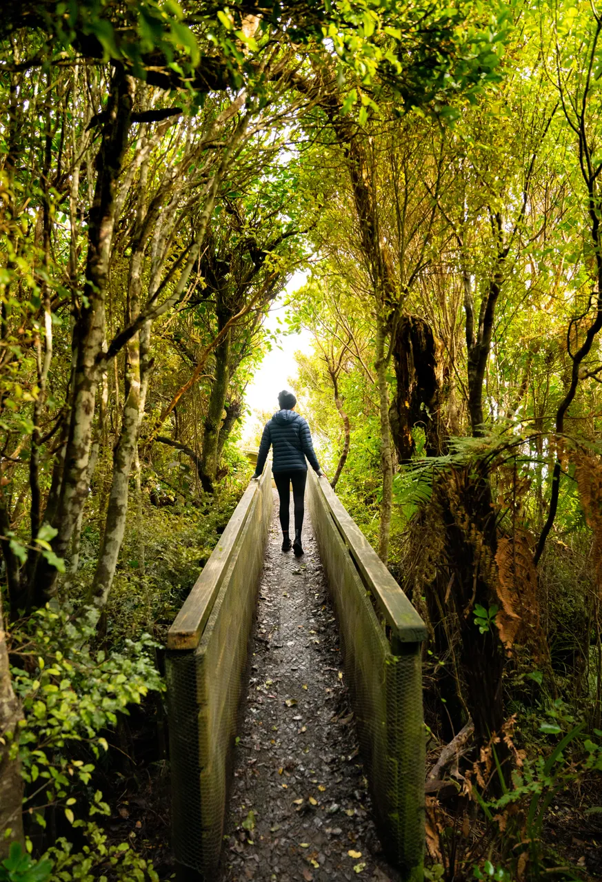 Mores Scenic Reserve - Southland, New Zealand - Credit Tourism New Zealand (6)