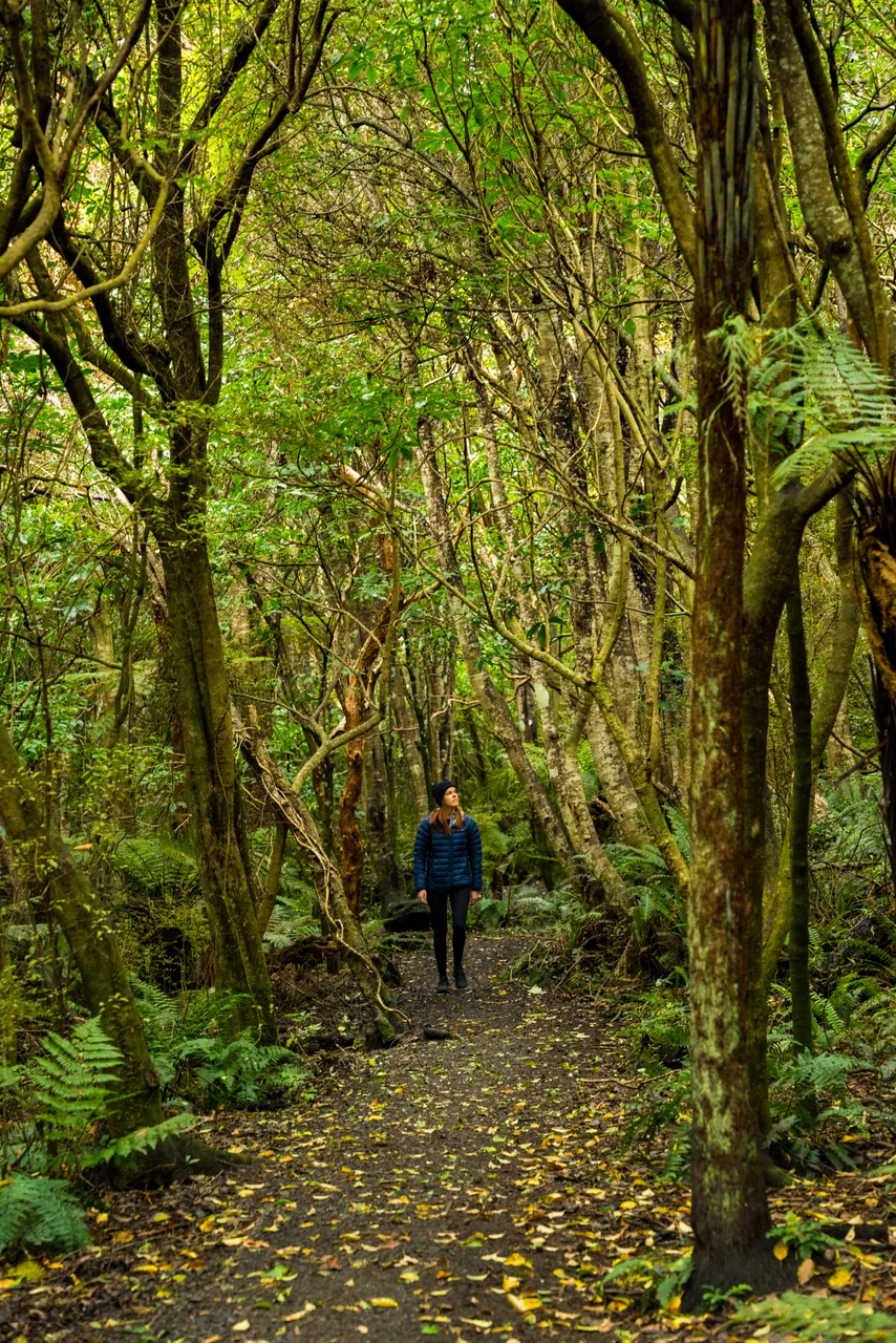 Mores Scenic Reserve - Southland, New Zealand - Credit Tourism New Zealand (1)