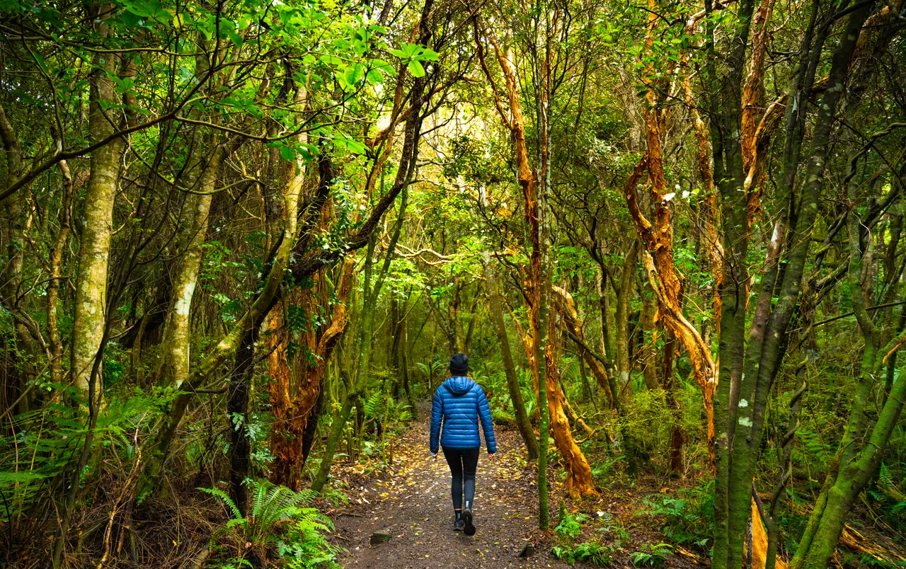 Mores Scenic Reserve - Southland, New Zealand - Credit Tourism New Zealand (3)