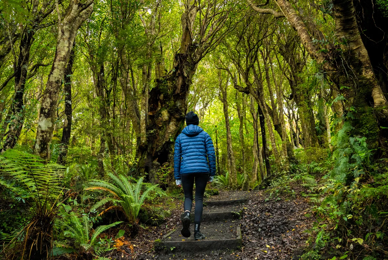 Mores Scenic Reserve - Southland, New Zealand - Credit Tourism New Zealand (4)