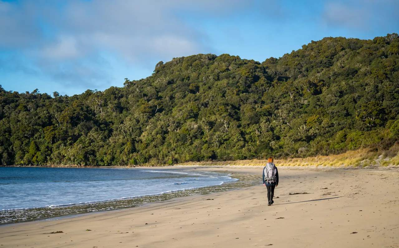 Rakiura Track - Southland, New Zealand - Credit Tourism New Zealand (10)