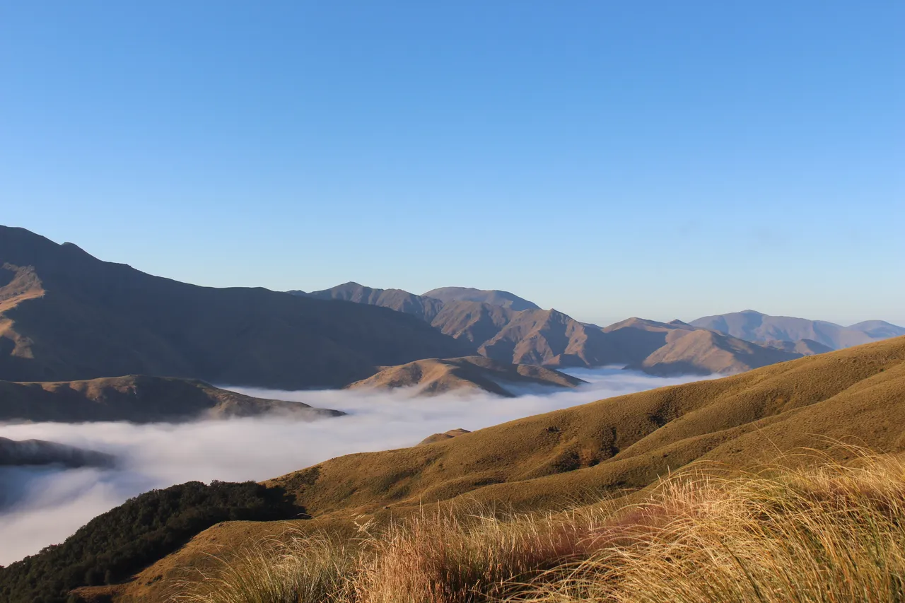 Welcome Rock Trails - Southland, New Zealand - Credit Great South (41)