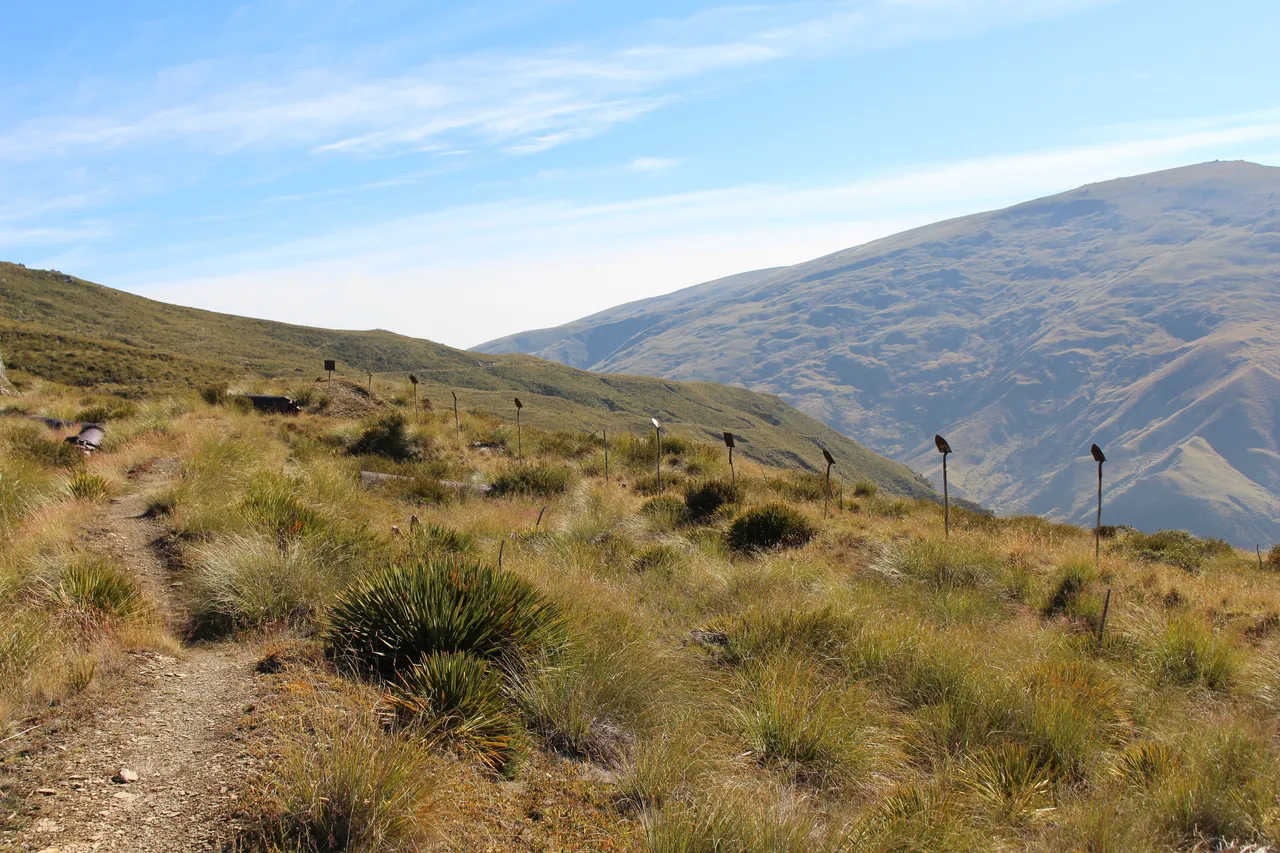 Welcome Rock Trails - Southland, New Zealand - Credit Great South (56)