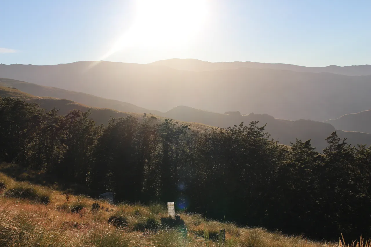 Welcome Rock Trails - Southland, New Zealand - Credit Great South (42)