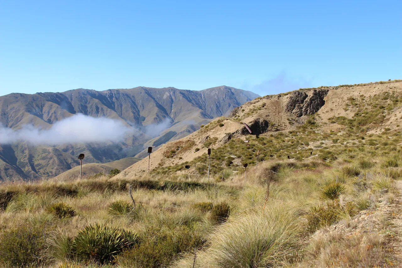 Welcome Rock Trails - Southland, New Zealand - Credit Great South (57)