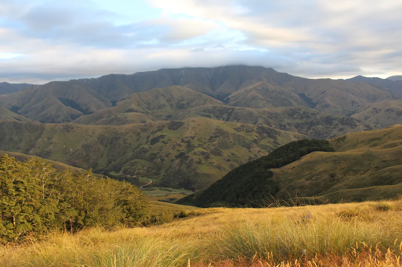 Welcome Rock Trails - Southland, New Zealand - Credit Great South (36)