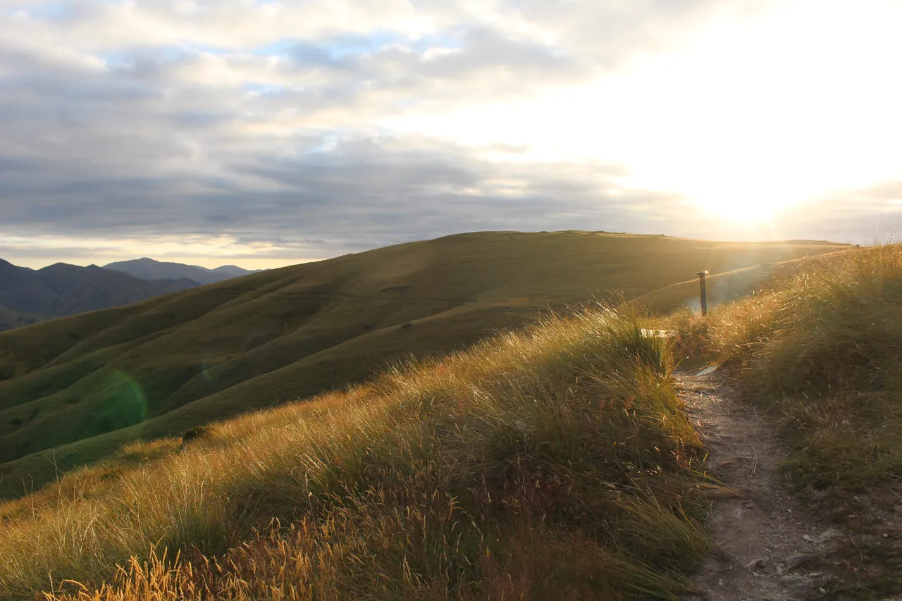 Welcome Rock Trails - Southland, New Zealand - Credit Great South (37)