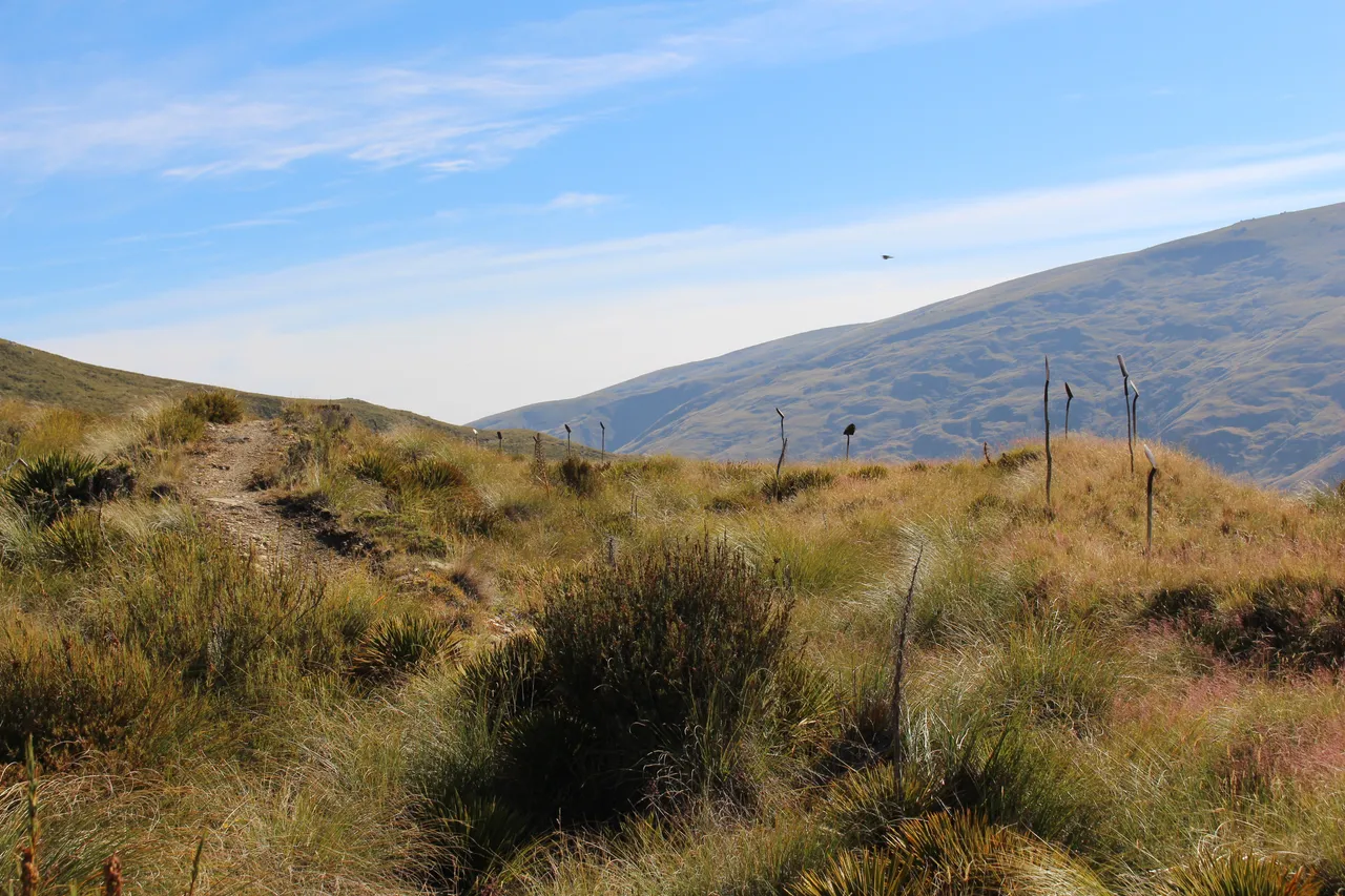 Welcome Rock Trails - Southland, New Zealand - Credit Great South (54)