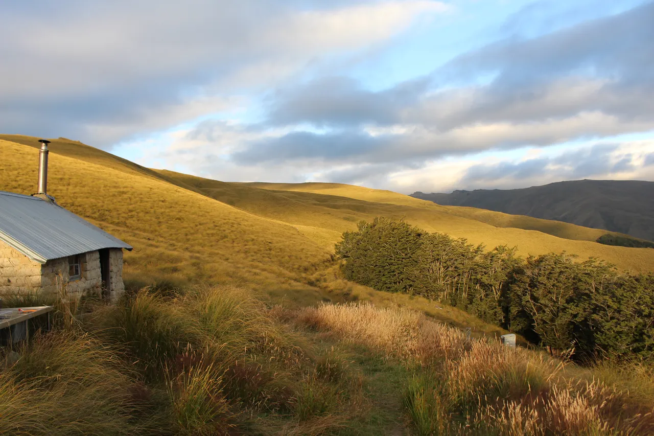 Welcome Rock Trails - Southland, New Zealand - Credit Great South (34)