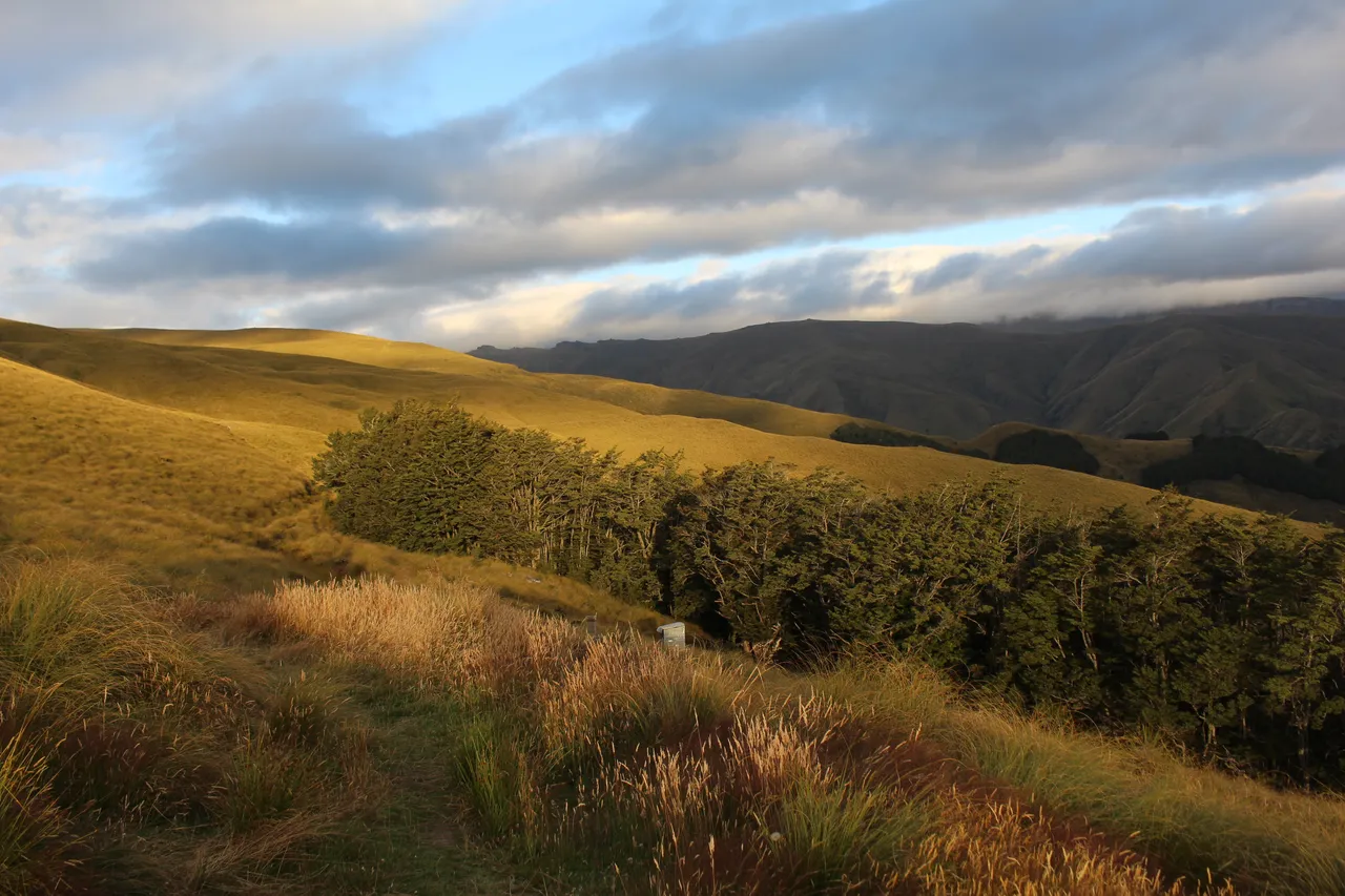 Welcome Rock Trails - Southland, New Zealand - Credit Great South (33)