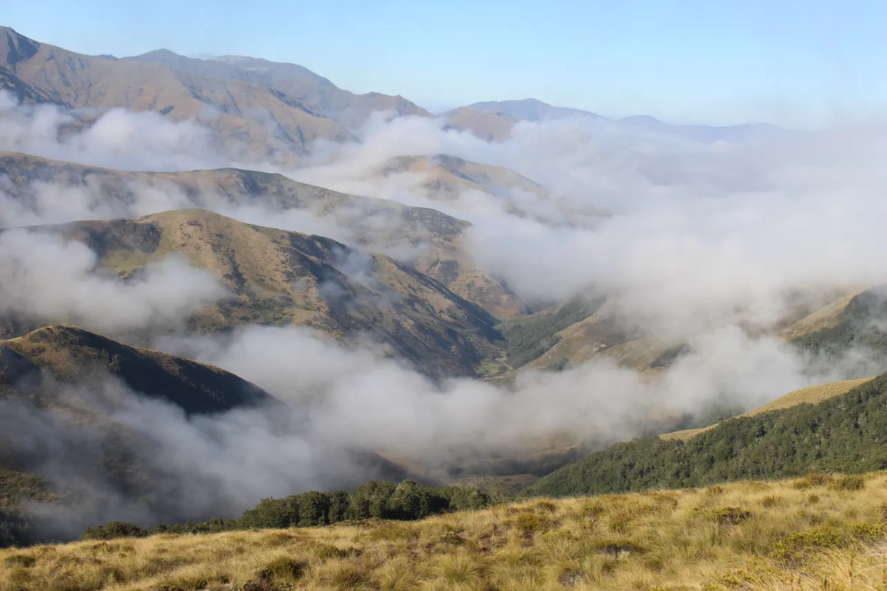 Welcome Rock Trails - Southland, New Zealand - Credit Great South (47)