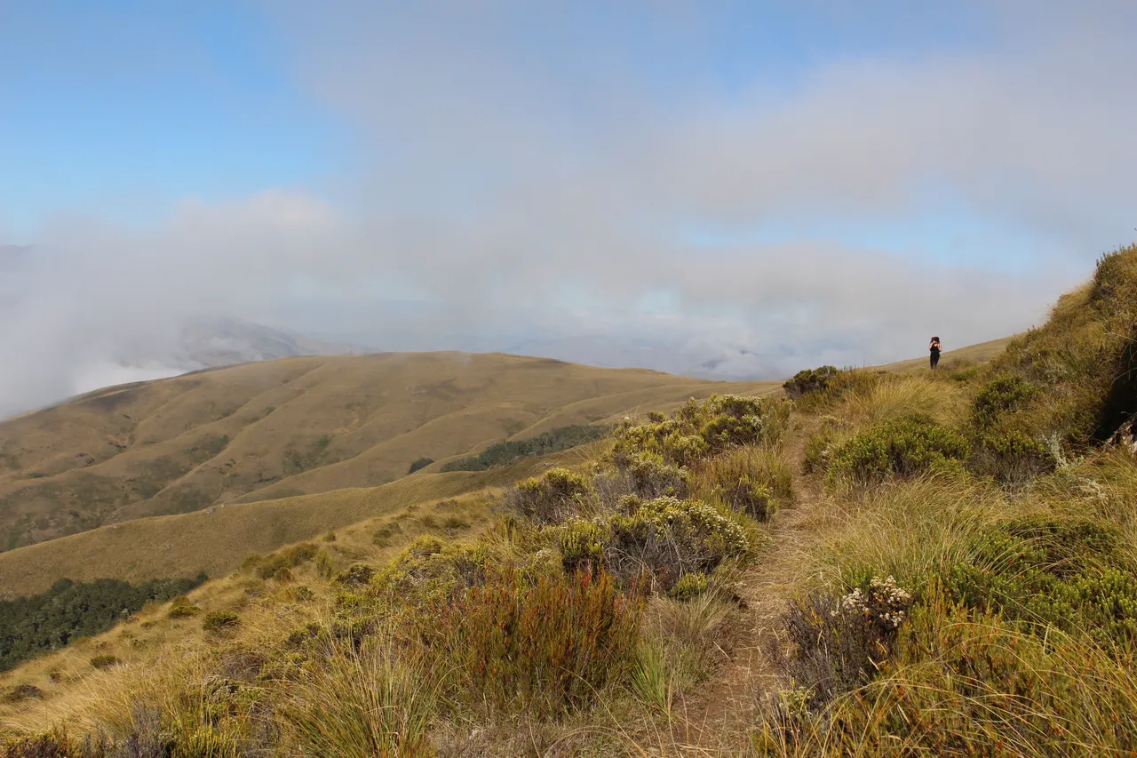 Welcome Rock Trails - Southland, New Zealand - Credit Great South (46)