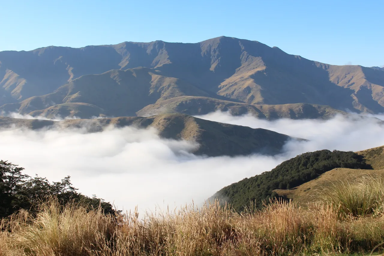 Welcome Rock Trails - Southland, New Zealand - Credit Great South (43)