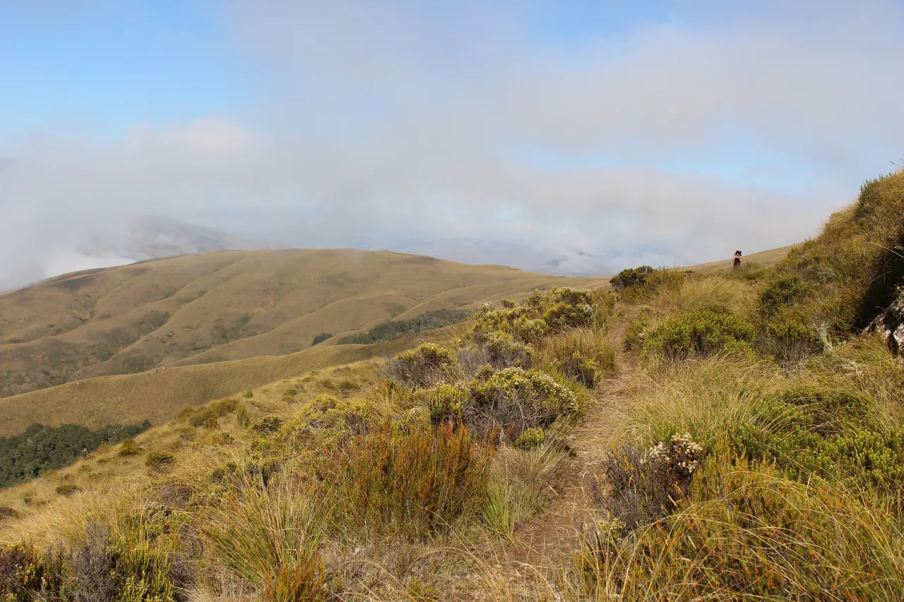 Welcome Rock Trails - Southland, New Zealand - Credit Great South (45)