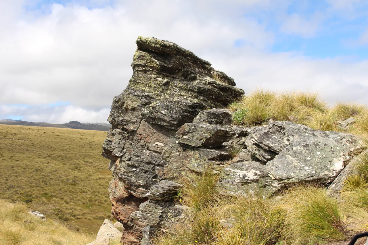 Welcome Rock Trails - Southland, New Zealand - Credit Great South (20)
